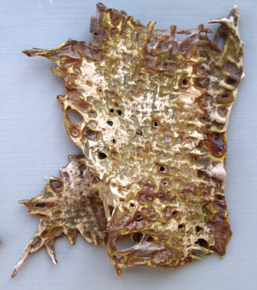  Hessian Sack 